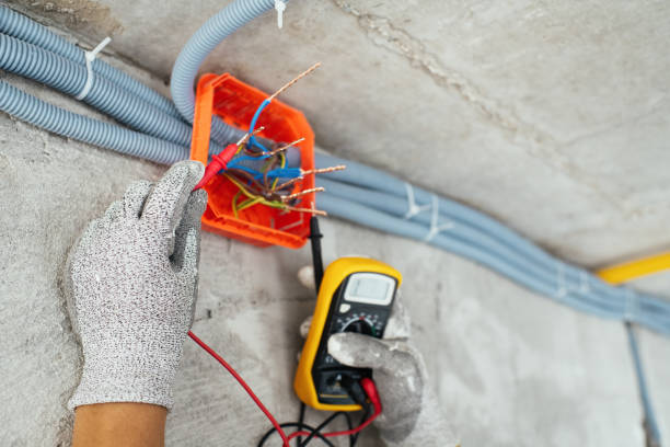 Best Industrial Electrical Services  in Lake In The Hls, IL